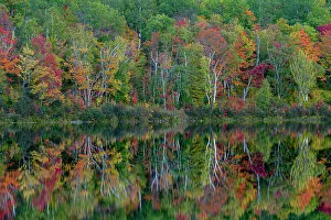 Maine Prints: USA, Maine. Colorful foliage reflected in South Branch Pond, Baxter State Park