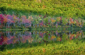 Maine Prints: USA, Maine. Colorful foliage reflected in South Branch Pond, Baxter State Park