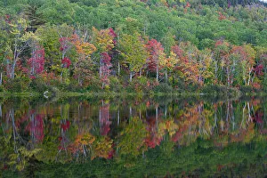 Maine Prints: USA, Maine. Colorful foliage reflected in South Branch Pond, Baxter State Park