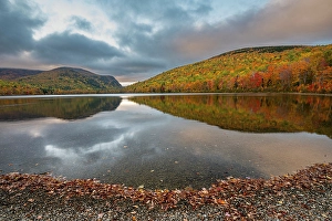 Images Dated 4th May 2024: USA, Maine. Fall foliage and view of curved lake shore, Baxter State Park