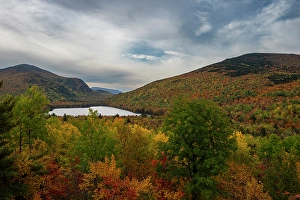 Deciduous Prints: USA, Maine. Fall foliage and view of South Branch Pond, Baxter State Park
