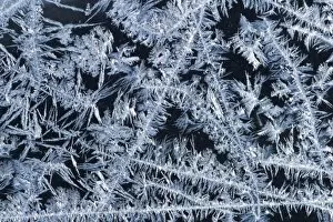 USA, Maine, Harpswell. Lacy ice patterns on a winter window