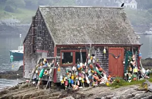Fish Prints: USA, Maine, Harpswell. Lobster buoys hang on fish shack on Bailey Island