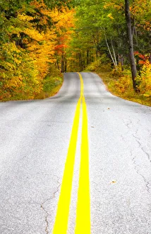 Roadway Prints: USA, Maine, Highway 113 lined by Maple and Birch trees in full Autumn color