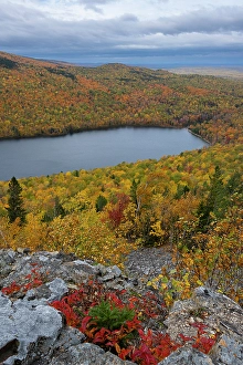 Images Dated 3rd May 2024: USA, Maine. Lowbush blueberry, fall foliage and view of South Branch Pond from Traveler Mountain