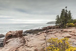 Landscape-Scenic Prints: USA, Maine, Mt. Desert Island. Acadia National Park, coastal view by Thunder Hole