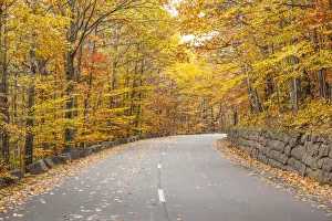 USA, Maine, Mt. Desert Island. Acadia National Park road