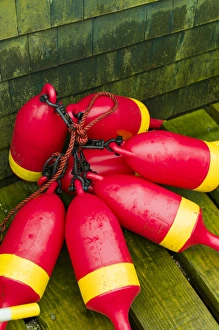 Bernard Prints: USA, Maine, Mt. Desert Island, Bernard, lobster buoys