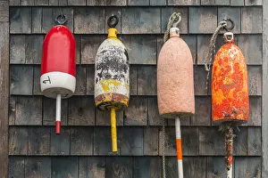 Still Life Prints: USA, Maine, Mt. Desert Island, Bernard. Lobster buoys