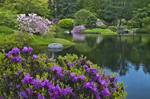 Northeast Harbor Prints: USA, Maine, Northeast Harbor. View of Asticou Azalea Gardens