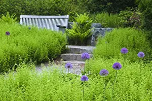 Northeast Harbor Prints: USA, Maine, Northeast Harbor. Wooden bench in Thuya Garden. Credit as: Nancy Rotenberg