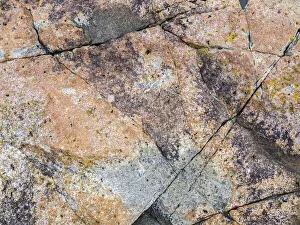 Images Dated 7th April 2020: USA, Maine. Patterns on rock on the beach near Thunder Hole in Acadia National Park