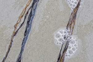 Bubble Prints: USA, Maine, Pine Point. Sea weed between waves