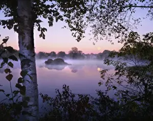 Moon Set Prints: USA, Maine, Pittsfield. Moonset at sunrise with fog rising over Mill Pond