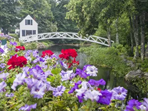 Geranium Prints: USA, Maine. Somesville bridge in Acadia National Park with petunias
