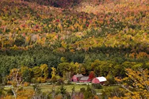 Country Side Prints: USA, Maine, Sunday River. Red farm buildings in the autumn-colored landscape