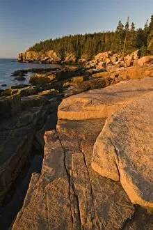 USA, Maine. Sunrise at Otter Cliffs, Acadia National Park