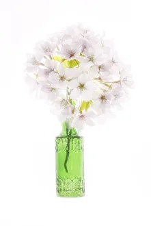 Cherry Blossom Prints: USA, Maryland, Bethesda. Green vase with cherry blossoms