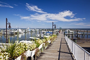 Maryland Prints: USA, Maryland, Chesapeake Beach. Western Shore of Chesapeake Bay, marina