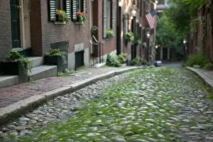 Neighborhood Prints: USA-Massachusettes-Boston: Acorn Street / Beacon Hill / Summer