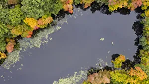 Abstract Prints: Usa, Massachusetts, Acton. Pond with fall foliage (aerial view)