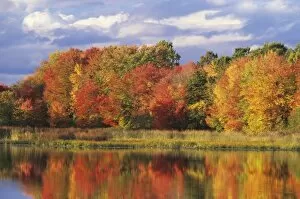Images Dated 8th June 2007: USA, Massachusetts, Acton. Reflection of autumn foliage and clouds in pond