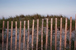 Cape Cod Prints: USA, Massachusetts, Barnstable, Fence along Cape Cod sand dunes at sunset on summer