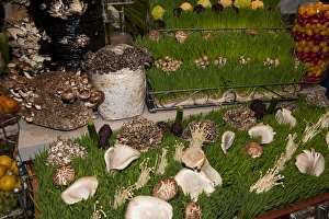 Images Dated 20th March 2011: USA, Massachusetts, Boston, Boston Food and Restaurant Show, mushrooms