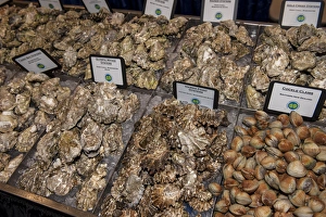 Images Dated 20th March 2011: USA, Massachusetts, Boston, Boston Food and Restaurant Show, clams and oysters