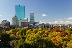 Sky Scraper Prints: USA-Massachusetts-Boston: Office Buildings of the Back Bay and Boston Common / Autumn