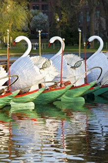 Images Dated 24th April 2008: USA, Massachusetts, Boston. Public Garden, Swanboats