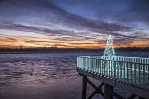 Prints of USA, Massachusetts, Cape Ann, Annisquam. Waterfront Christmas Tree Images Dated 2017 December: USA, Massachusetts, Cape Ann, Annisquam. Waterfront Christmas Tree