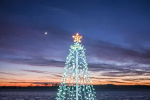Prints of USA, Massachusetts, Cape Ann, Annisquam. Waterfront Christmas Tree Images Dated 2017 December: USA, Massachusetts, Cape Ann, Annisquam. Waterfront Christmas Tree