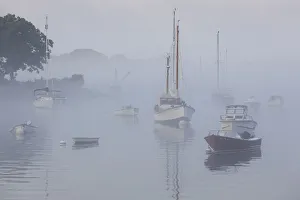 Images Dated 11th August 2016: USA, Massachusetts, Cape Ann, boats in Annisquam Harbor in fog