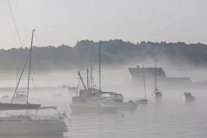Images Dated 11th August 2016: USA, Massachusetts, Cape Ann, boats in Annisquam Harbor in fog
