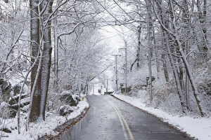 Images Dated 28th November 2014: USA, Massachusetts, Cape Ann, Gloucester, early snow on country road