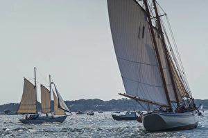 Images Dated 31st August 2014: USA, Massachusetts, Cape Ann, Gloucester, Americas Oldest Seaport, Annual Schooner