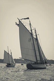 Images Dated 31st August 2014: USA, Massachusetts, Cape Ann, Gloucester, Americas Oldest Seaport, Annual Schooner