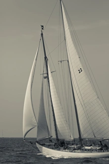 USA, Massachusetts, Cape Ann, Gloucester, Americas Oldest Seaport, Annual Schooner