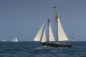 Images Dated 31st August 2014: USA, Massachusetts, Cape Ann, Gloucester, Americas Oldest Seaport, Annual Schooner