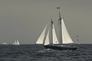 Images Dated 31st August 2014: USA, Massachusetts, Cape Ann, Gloucester, Americas Oldest Seaport, Annual Schooner