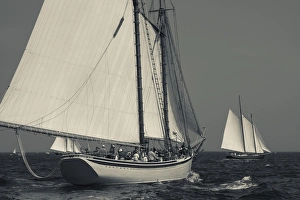 Images Dated 31st August 2014: USA, Massachusetts, Cape Ann, Gloucester, Americas Oldest Seaport, Annual Schooner