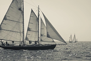 Images Dated 31st August 2014: USA, Massachusetts, Cape Ann, Gloucester, Americas Oldest Seaport, Annual Schooner