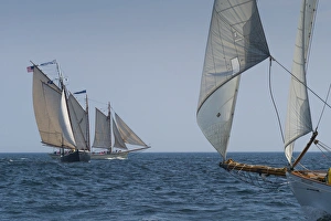 Images Dated 31st August 2014: USA, Massachusetts, Cape Ann, Gloucester, Americas Oldest Seaport, Annual Schooner