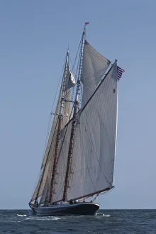 Images Dated 4th September 2016: USA, Massachusetts, Cape Ann, Gloucester, Americas Oldest Seaport, Gloucester
