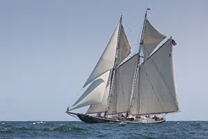 Images Dated 4th September 2016: USA, Massachusetts, Cape Ann, Gloucester, Americas Oldest Seaport, Gloucester
