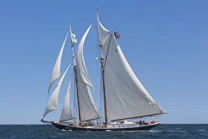 Images Dated 4th September 2016: USA, Massachusetts, Cape Ann, Gloucester, Americas Oldest Seaport, Gloucester