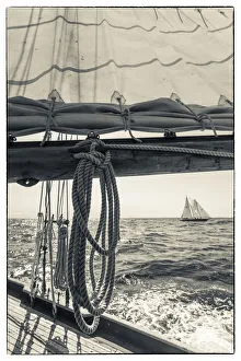 Images Dated 4th September 2016: USA, Massachusetts, Cape Ann, Gloucester, Americas Oldest Seaport, Gloucester