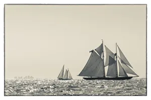 Images Dated 4th September 2016: USA, Massachusetts, Cape Ann, Gloucester, Americas Oldest Seaport, Gloucester