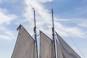 Images Dated 4th September 2017: USA, Massachusetts, Cape Ann, Gloucester. Gloucester Schooner Festival, schooner sails